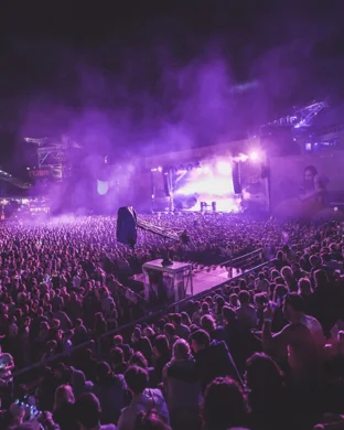 Hey! Fever Records Fever Fest