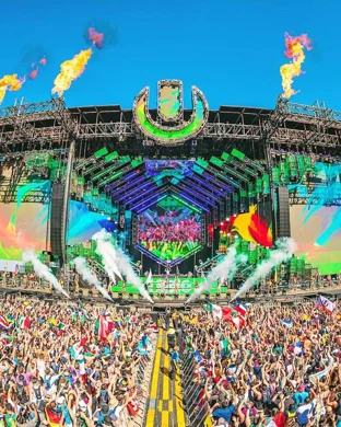 Day Trip Festival - 2 Day Pass