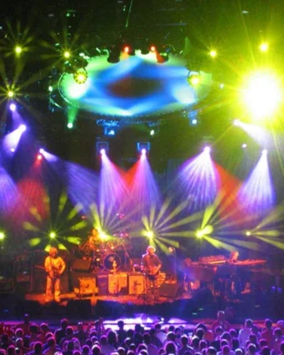 Disco Lines Los Angeles