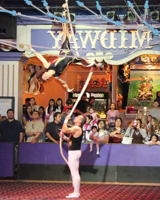 Cirque Mechanics: Tilt! event