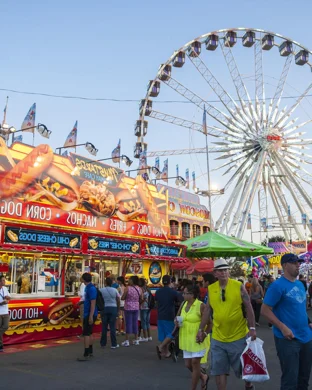 Hollywood Christmas Parade