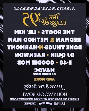 A Roots Picnic Experience