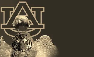 Auburn Tigers