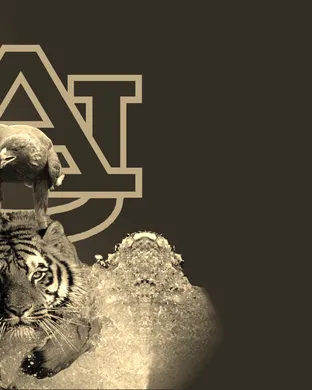 Auburn Tigers