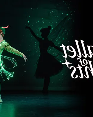 Ballet of Lights: Sleeping Beauty in a Sparkling Show