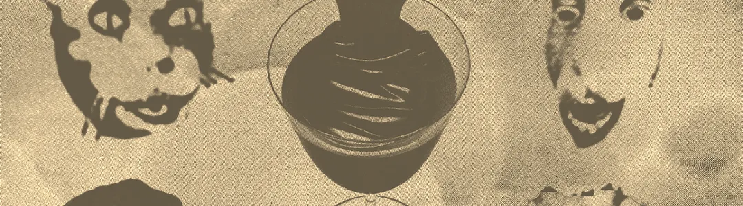 Black Moth Super Rainbow