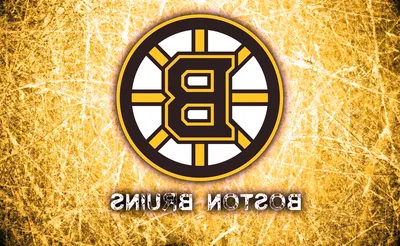 Boston Bruins