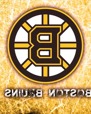 Boston Bruins vs. Los Angeles Kings