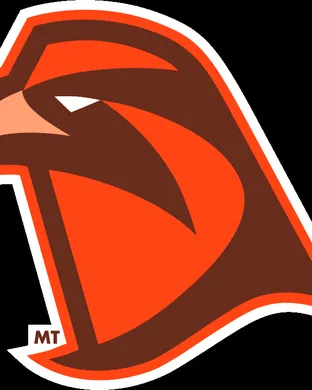Bowling Green Falcons