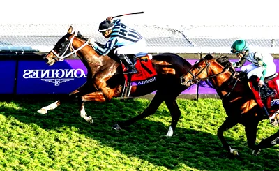 Breeders Cup