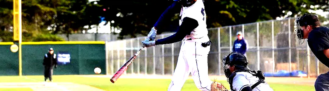 Cal State Monterey Bay Otters