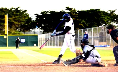Cal State Monterey Bay Otters