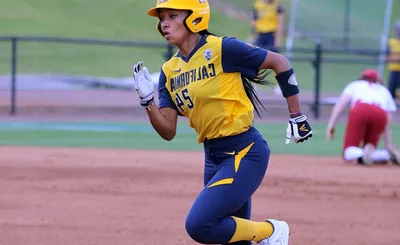 California Golden Bears Softball