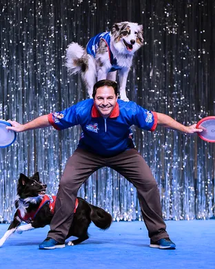 Chris Perondi's Stunt Dog Experience