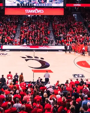 Cincinnati Bearcats