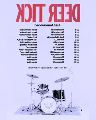 Deer Tick
