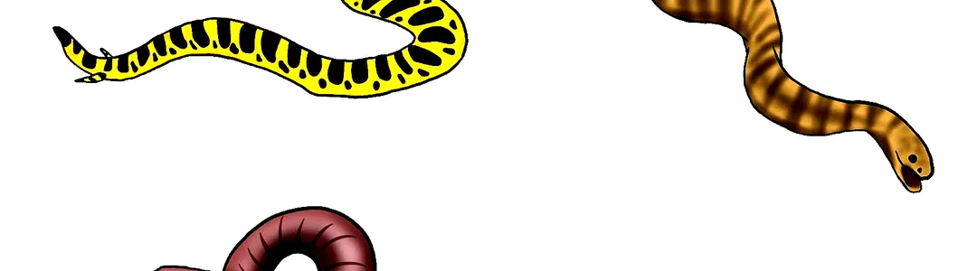 Evolution of a Snake