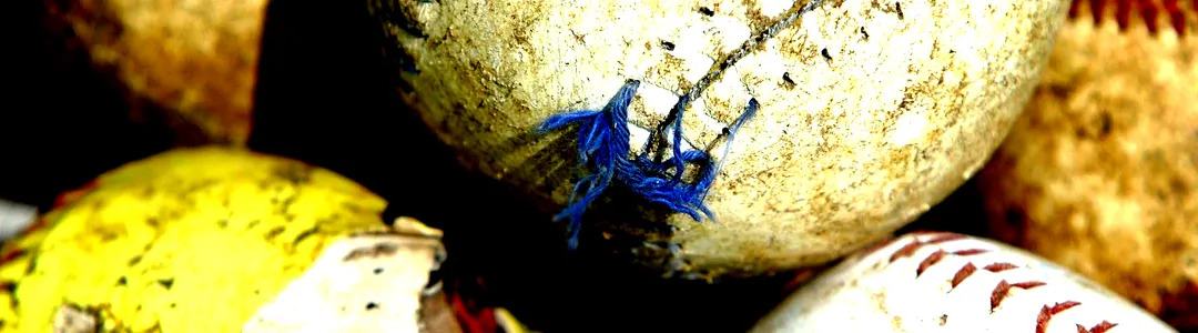 Georgia Tech Yellow Jackets Softball