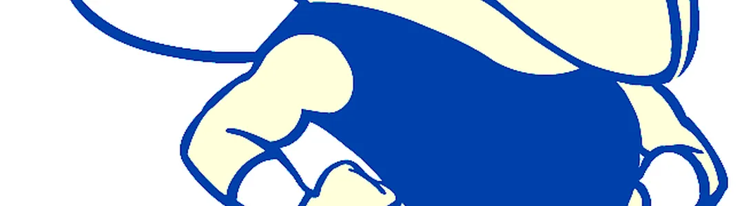 Georgia Tech Yellow Jackets