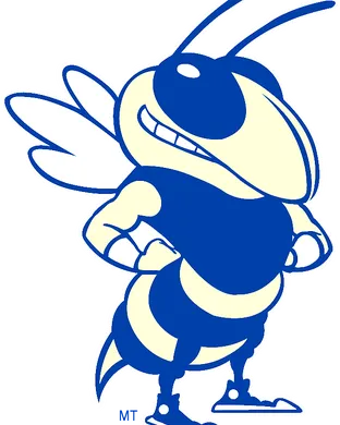 Georgia Tech Yellow Jackets