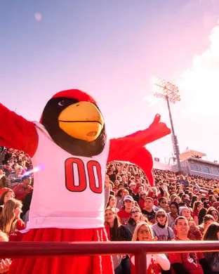 Illinois State Redbirds 