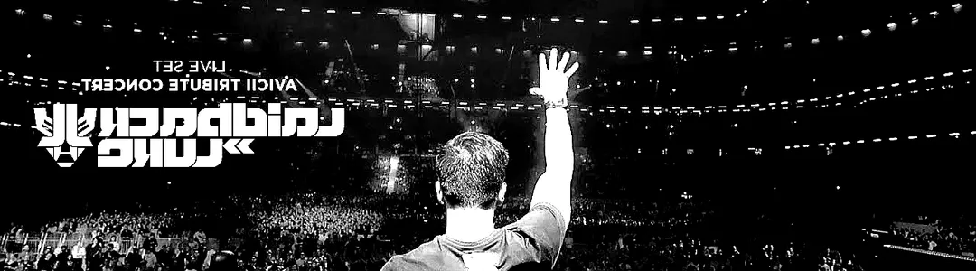 Laidback Luke