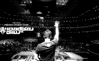 Laidback Luke