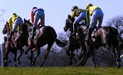 Live Racing