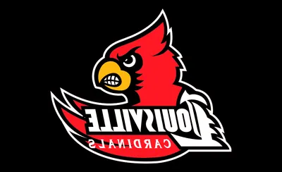 Louisville Cardinals