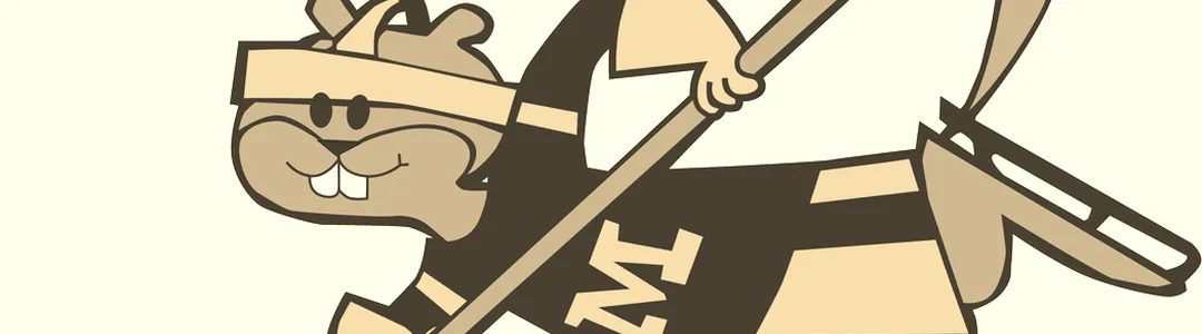 Minnesota Golden Gophers