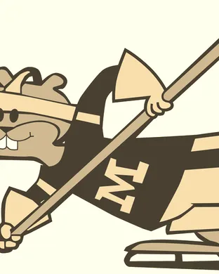 Minnesota Golden Gophers