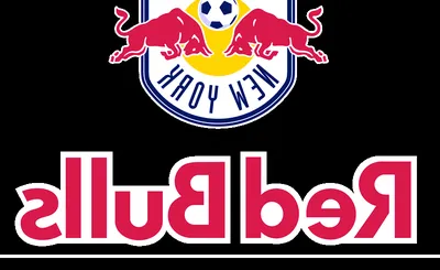 New York Red Bulls