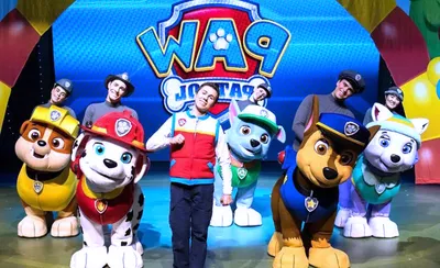 Paw Patrol Live