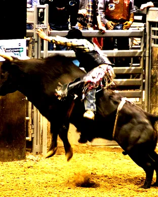 PBR Team Series