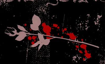 Preachers and Pornstars