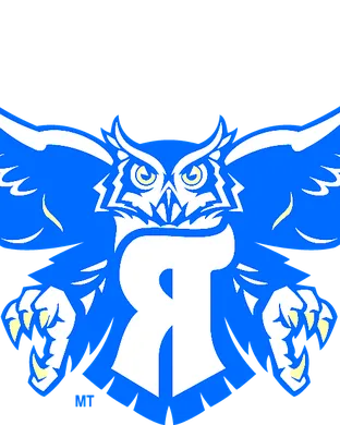 Rice Owls
