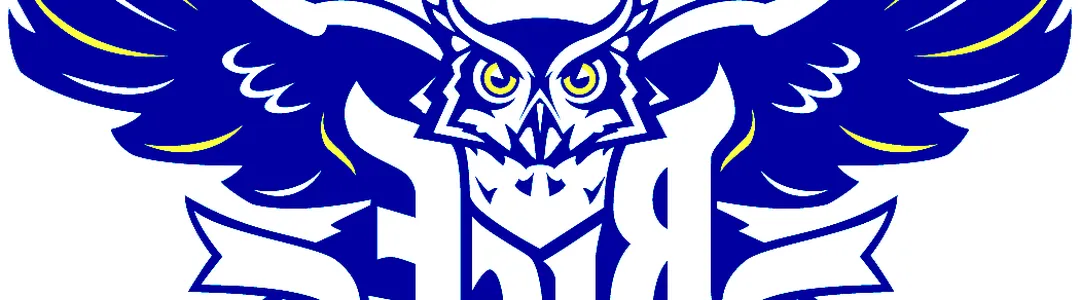 Rice Owls