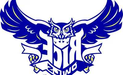 Rice Owls