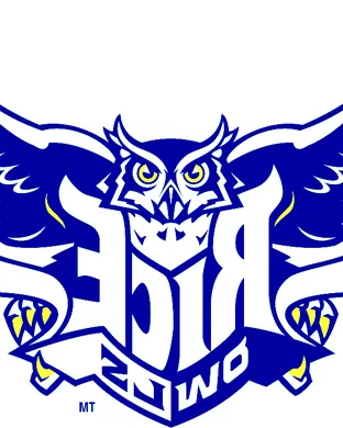 Rice Owls