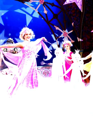 Sleeping Beauty in a Sparkling Show