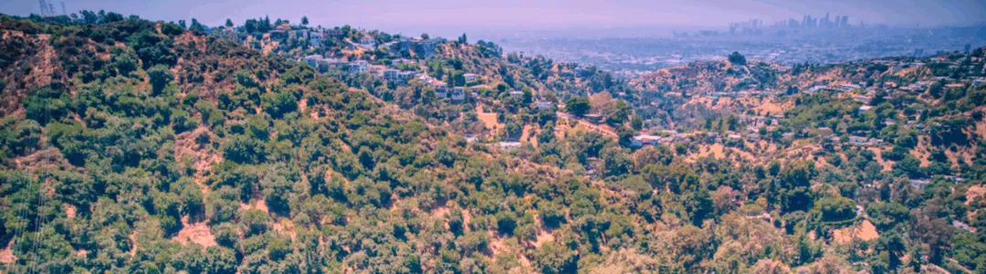 Sounds of Laurel Canyon - 60s & 70s Rock Legends