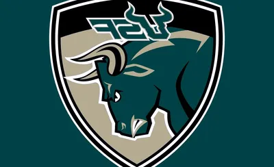 South Florida Bulls