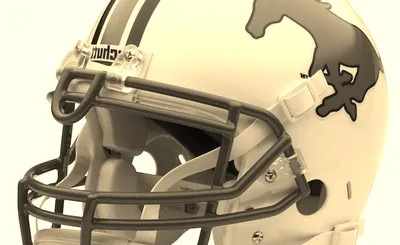 Southern Methodist (SMU) Mustangs Football