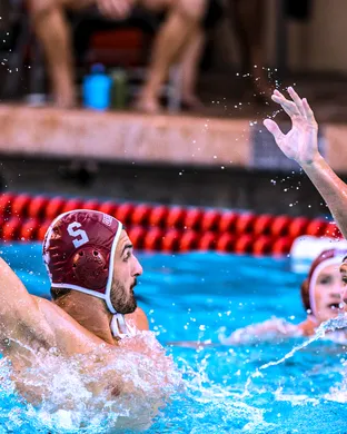 Stanford Cardinal Softball