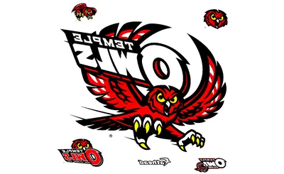 Temple Owls