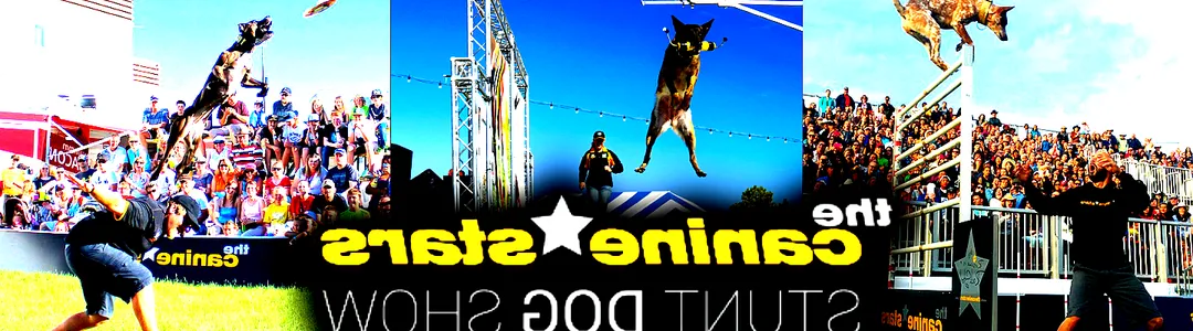 The Canine Stars Stunt Dog Show