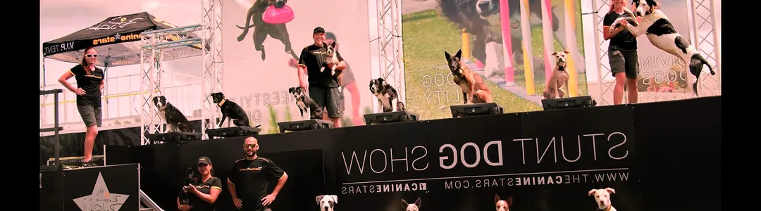 The Canine Stars Stunt Dog Show