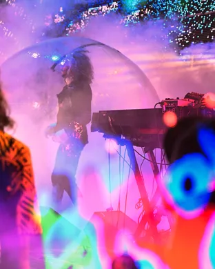 The Flaming Lips