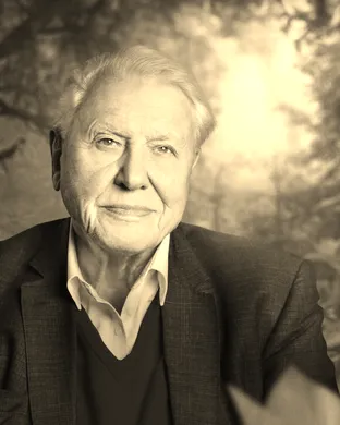 The Making of Life on Our Planet: Dinosaurs event