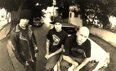 The Transplants